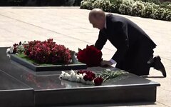 Стоп-кадр из видео