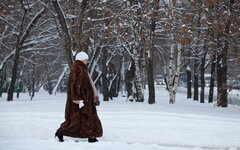 Снегопад в Москве 