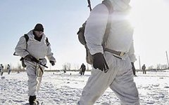Минобороны взялось за формирование арктических бригад
