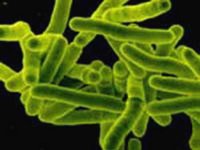 Фото с сайта citydoctor.ru