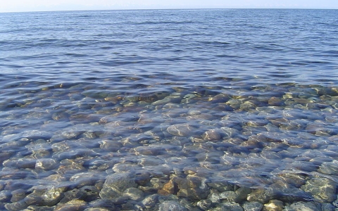 Байкальская вода чрезвычайно прозрачна. Фото Xchgall с сайта wikimedia.org