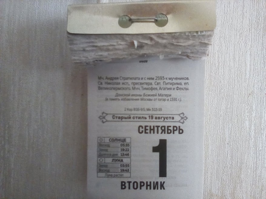 От горячего питания до упрощенного банкротства: что изменится с 1 сентября