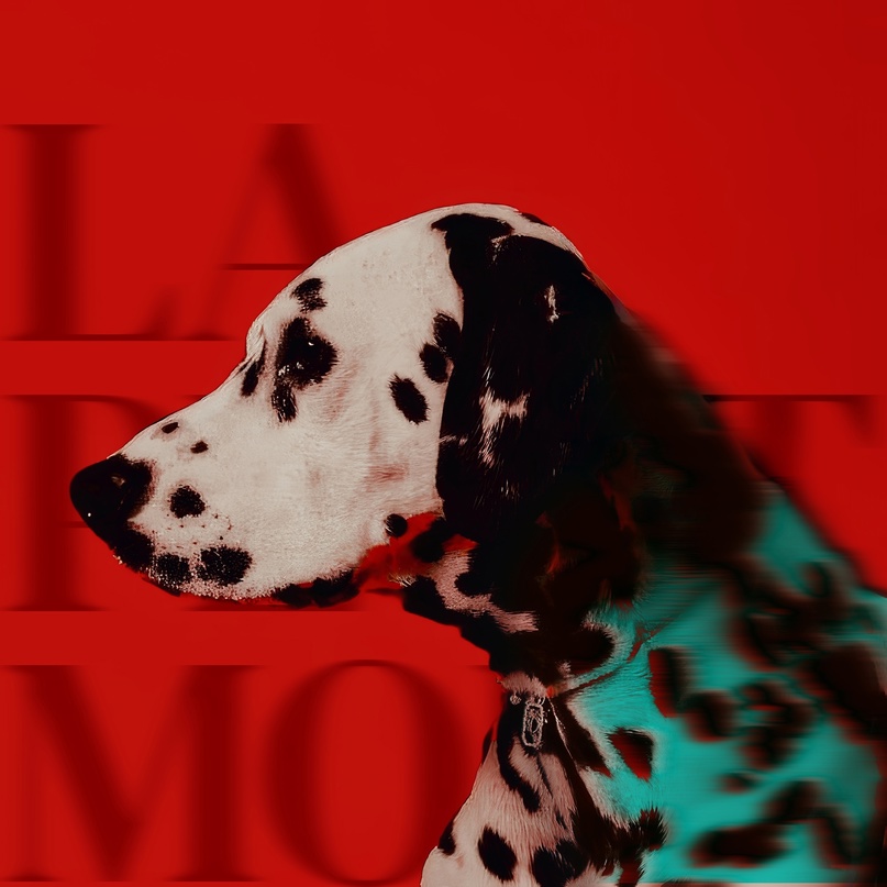 Африканец «La Petite Mort» (интернет-релиз)
