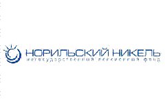 Логотип НПФ «Норильский Никель»
