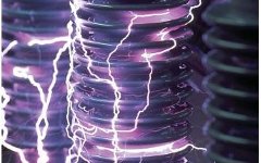 Фото с сайта scienceclarified.com