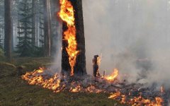 Фото с сайта is.park.ru