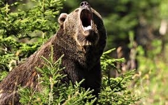 Фото с сайта wallpapersfolder.com