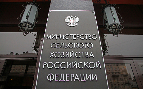 © KM.RU, Илья Шабардин
