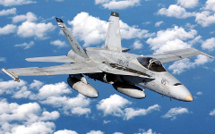Истребитель F/A-18 Hornet. Фото с сайта defenselink.mil