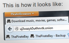 Скриншот с сайта piratebrowser.com