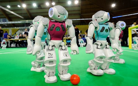 Фото с сайта robocup2014.org