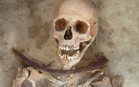Фото с сайта plosone.org