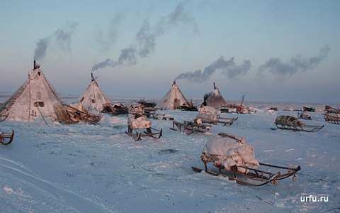 Фото с сайта urfu.ru