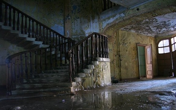 Фото с сайта wikimedia.org