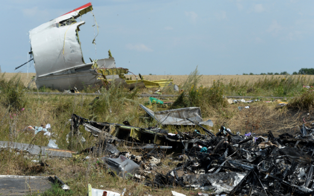 На месте крушения малайзийского Boeing 777 © РИА Новости, Михаил Воскресенский