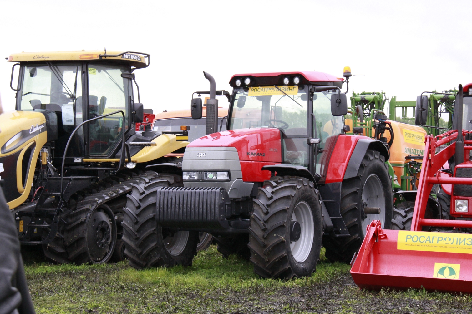 Фото с сайта agrolain.ru