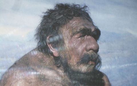 Неандерталец из Мустье, анатом Сольгер. Изображение с сайта wikimedia.org