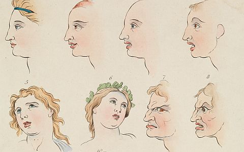 Изображение с сайта wikimedia.org