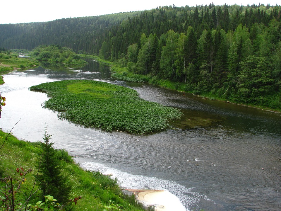 Фото с сайта Pixabay.com
