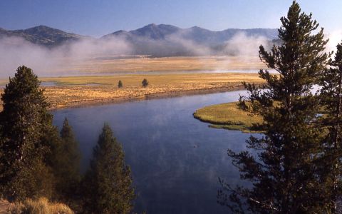 Фото с сайта wikimedia.org