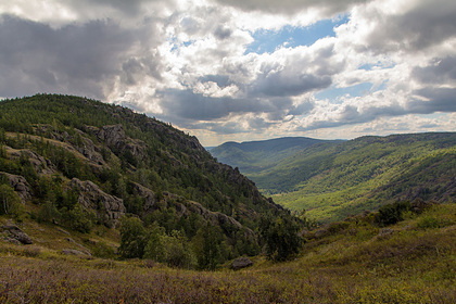 Фото с сайта wikimedia.org